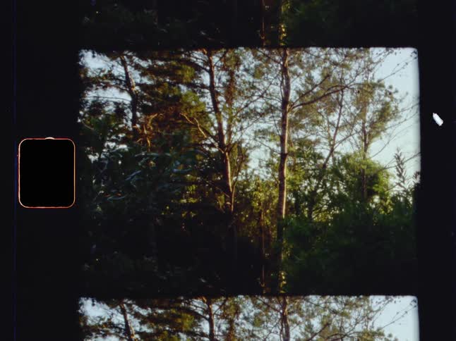 A vintage home video of the woods