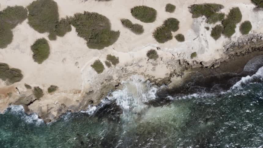 Birds eye view of coast with ocean waves