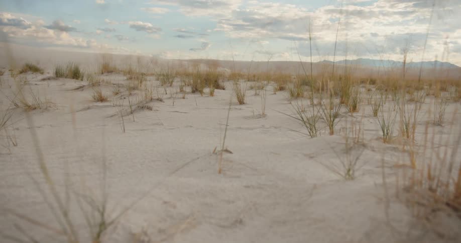 The camera moves through grass in a sandy desert area