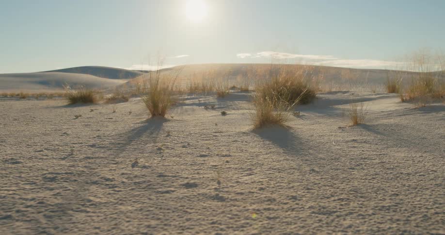 Desert with shrubs and dunes in background