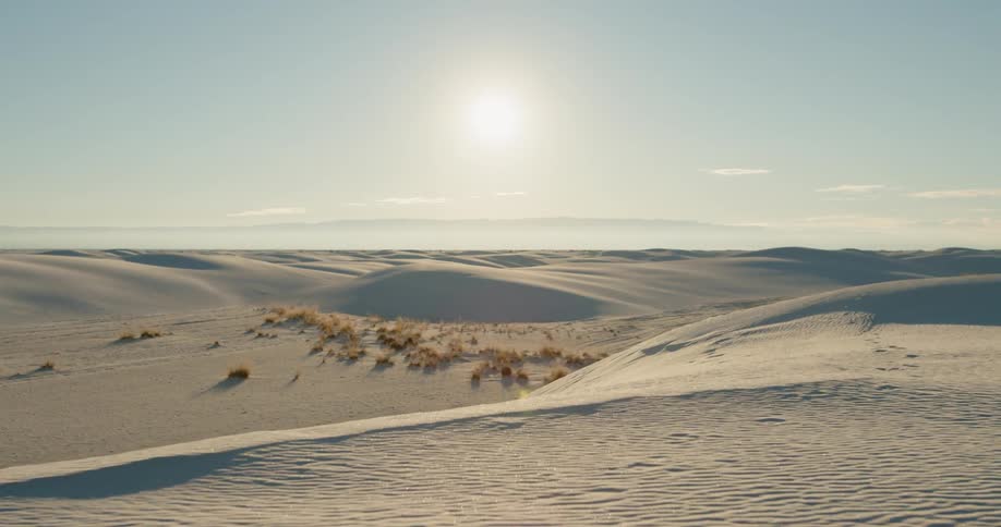 The sand on the dunes in the desert is rippled and dotted with brush