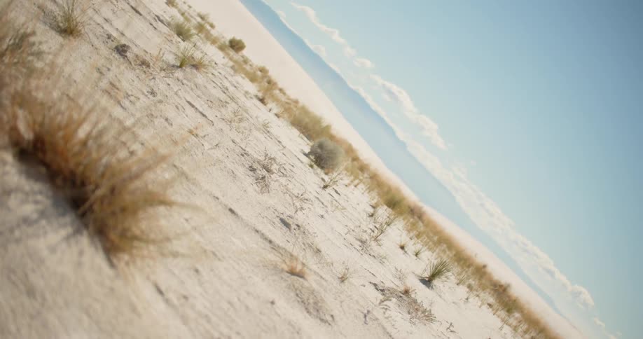Clumps of grass cover a sandy desert landscape