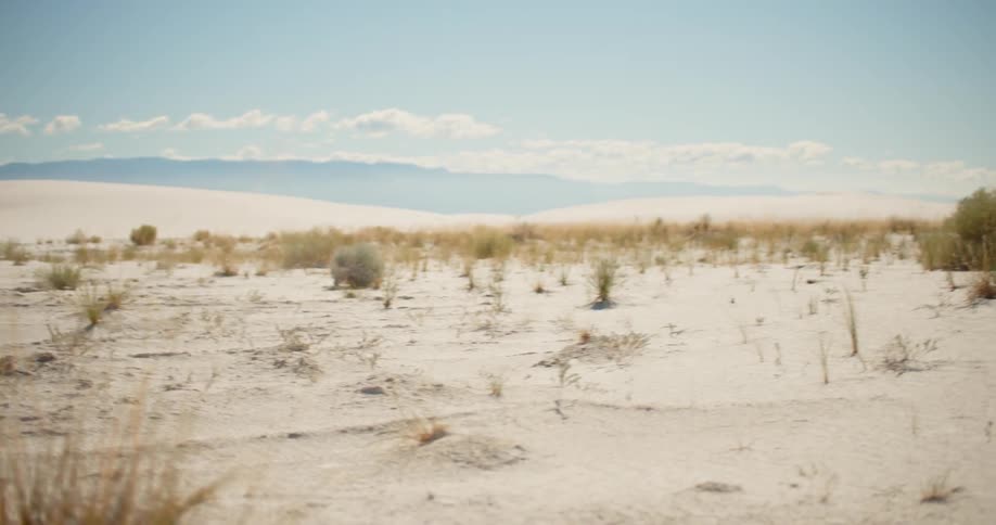 An arid desert landscape sparsely littered with bushes
