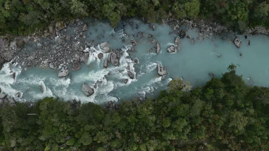 River rapids between thick forest