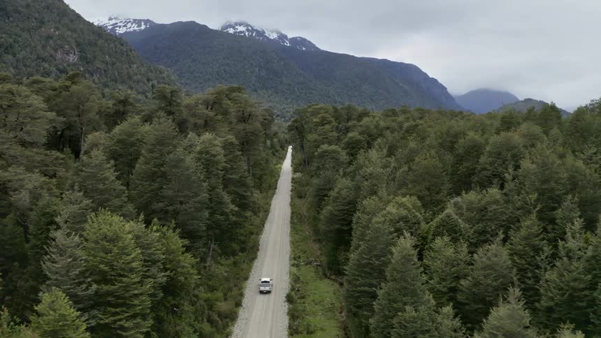 A white truck travels on a mountain forest road