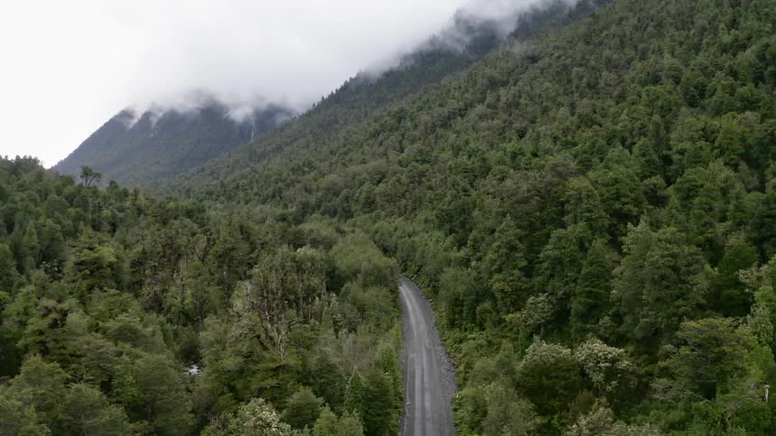 Road through the trees on a mountain