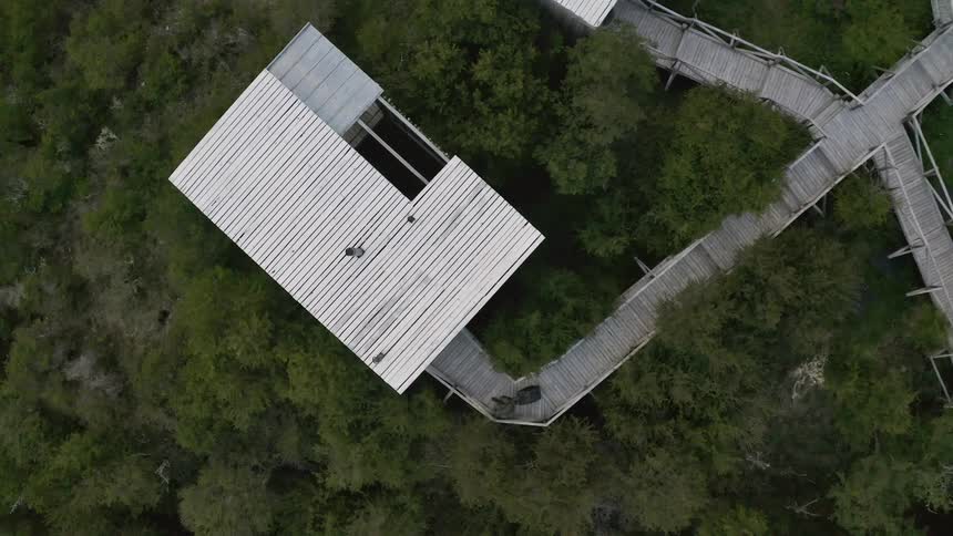 Two people walking on an elevated walkway into a house in a forest