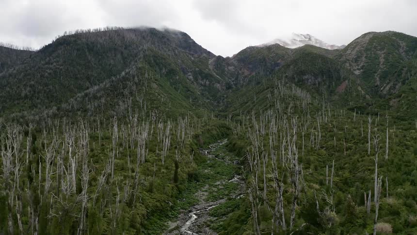Leafless trees line stream leading from mountains