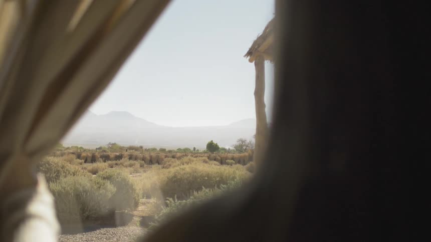 A person opening the curtain to look outside