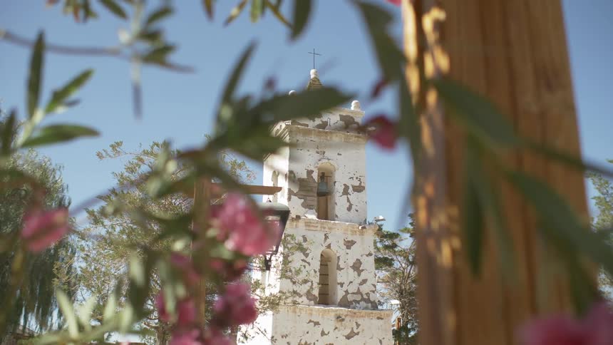 Flowers grow near a rundown church