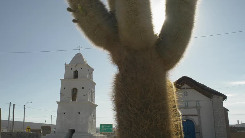 Cacti stand in the front yard of a white stucco church on a sunny day