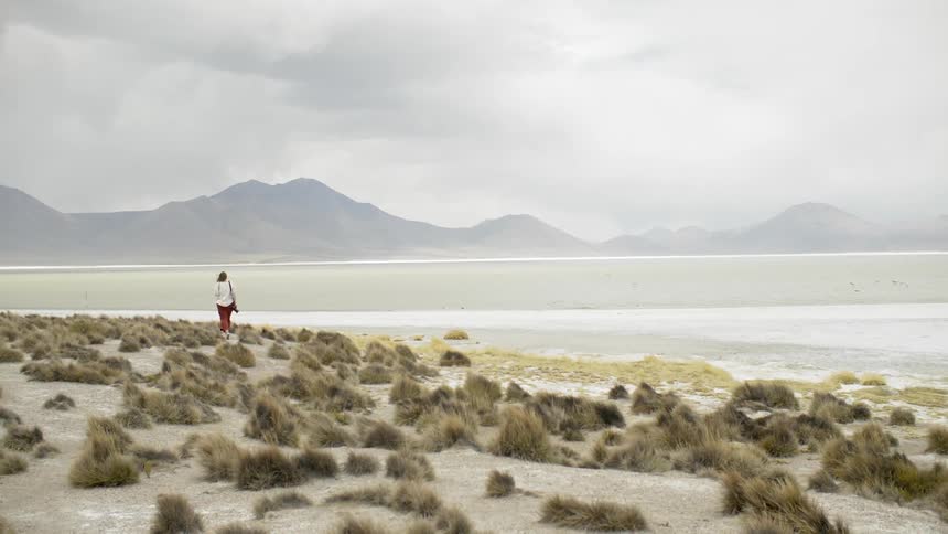 A woman walks through a field of desert shrubs in a desert toward a range of mountains