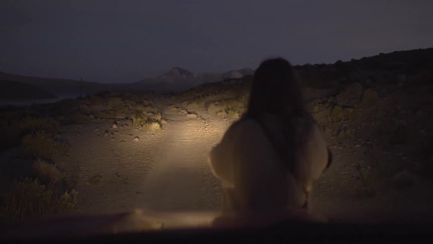 A person stands in the headlights of a car looking out