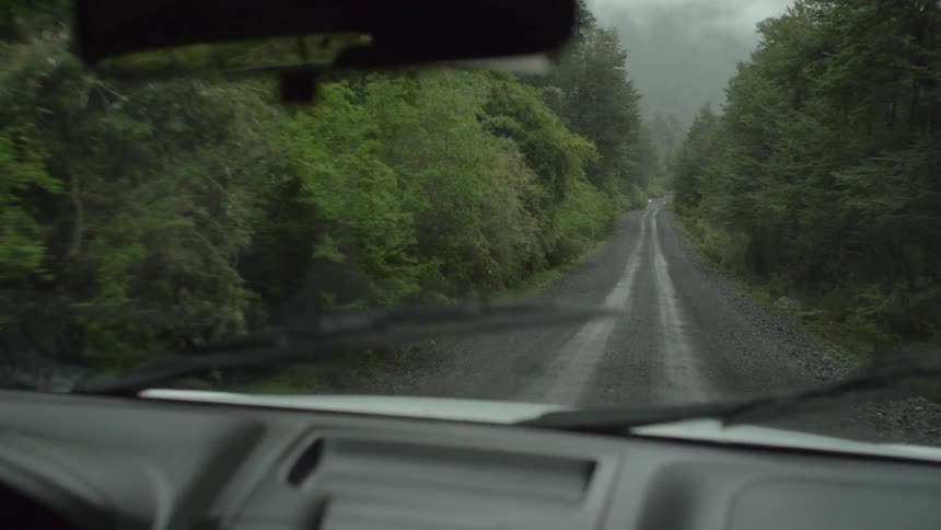 A vehicle traveling down a dirt road surrounded by a forest
