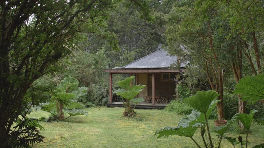 A small hit sits in the jungle with firewood on its porch