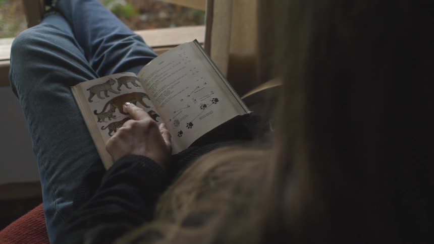 Woman reading a book with bobcats