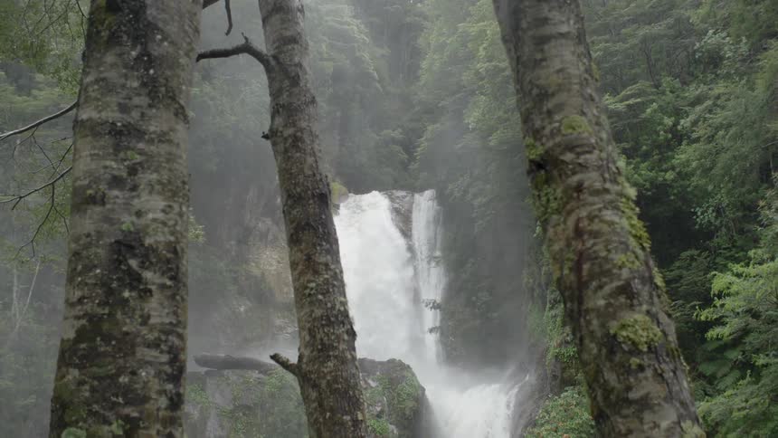A waterfall gushes over a cliff near trees in a forest