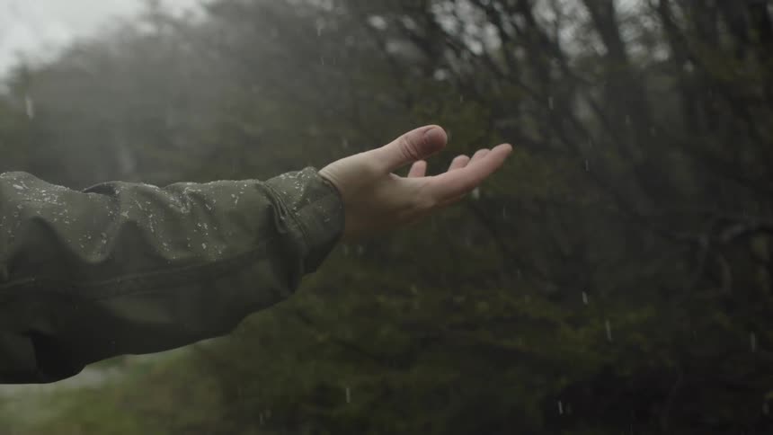 A person holds their hand out in the snow