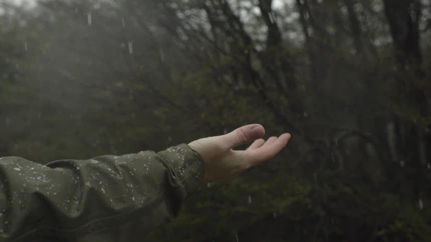 A man catching snow in his hand in a field with trees