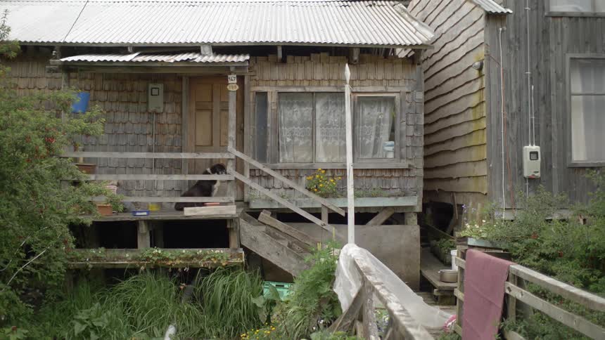 A dog lays down on the porch of a cottage with shakes and a tin roof