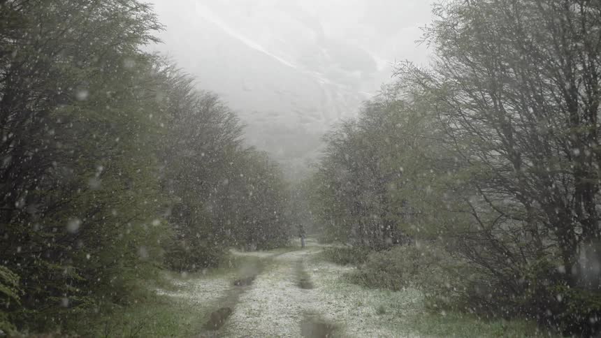Person stand on trail in forest during snowstorm