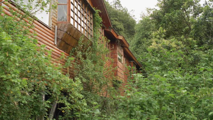 Trees and vegetation grow next to a wood building