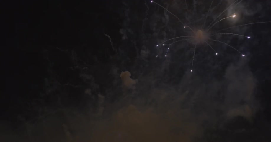 Fireworks exploding into the night sky