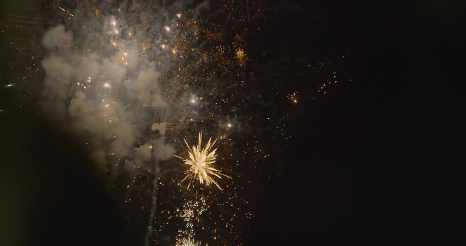Colorful fireworks in the night sky