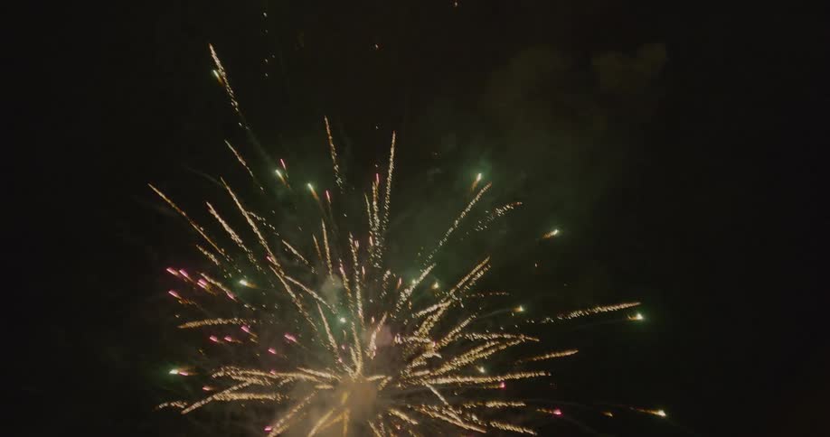 Fireworks explode in the dark night sky