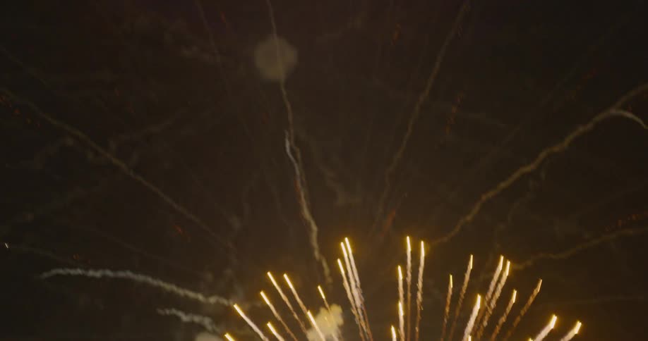 Fireworks going off in the night sky