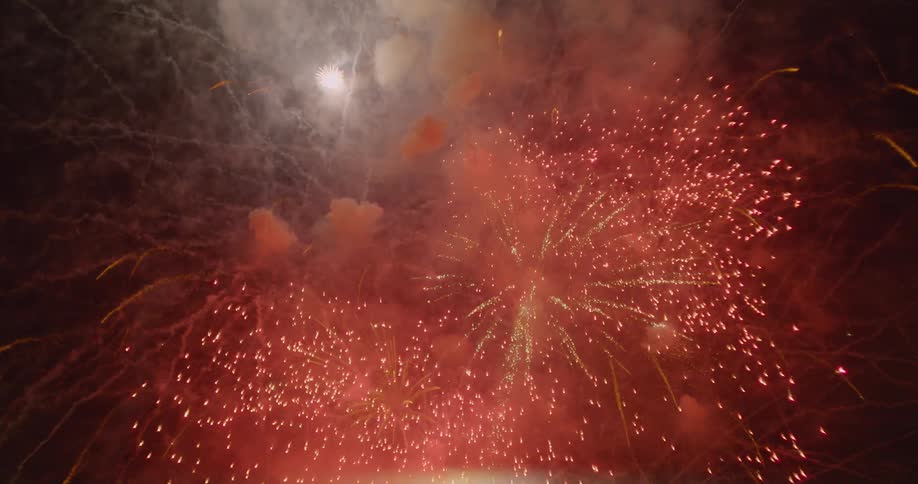 Fireworks exploding into the night sky