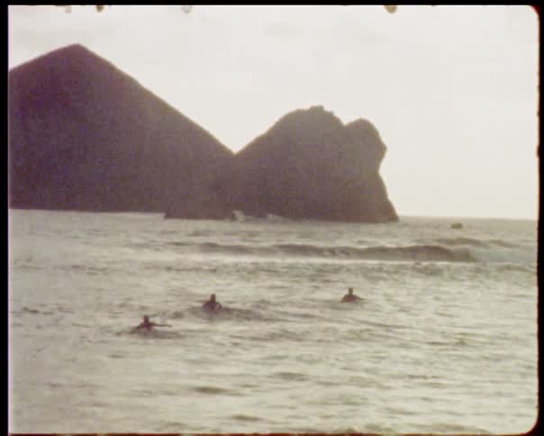 Three people swimming in the ocean