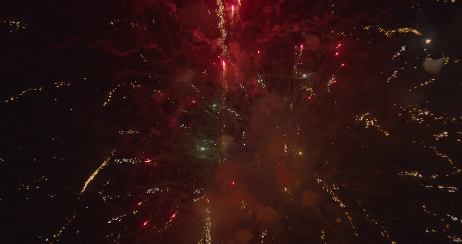 Fireworks exploding in night sky