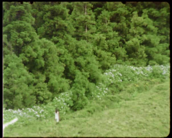 A woman is walking in a forest area