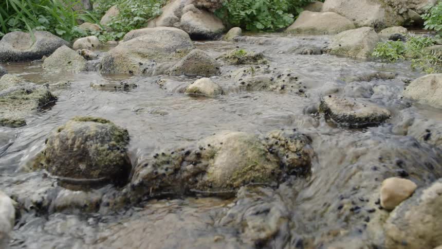 Water trickling over rocks in a creek bed