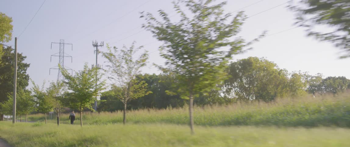 A man skateboards on a sidewalk with tall grass brush and trees on one side