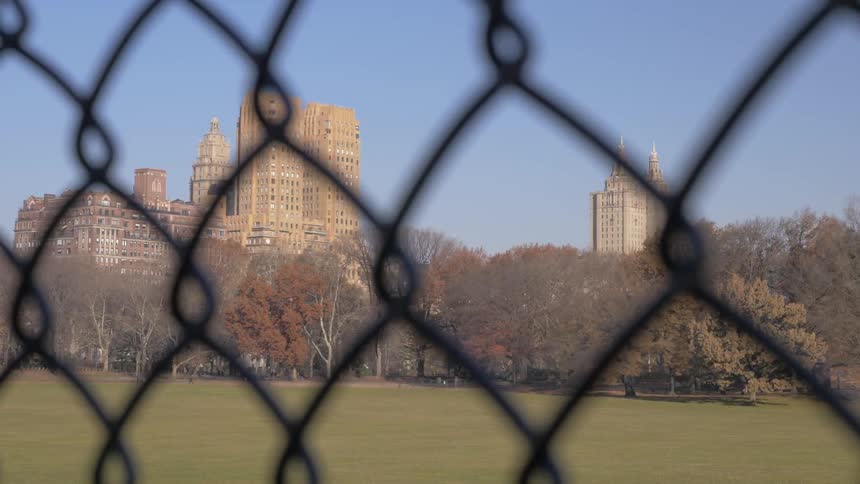 Looking through a chain link fence at the grass and trees of a park and the tall buildings behind