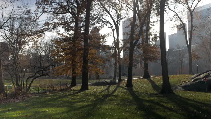 Pedestrians walk through a city park on an autumn day