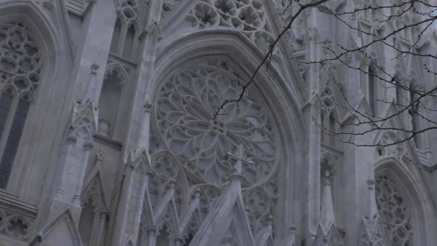 Bare tree branches in front of the ornate facade and windows of a building