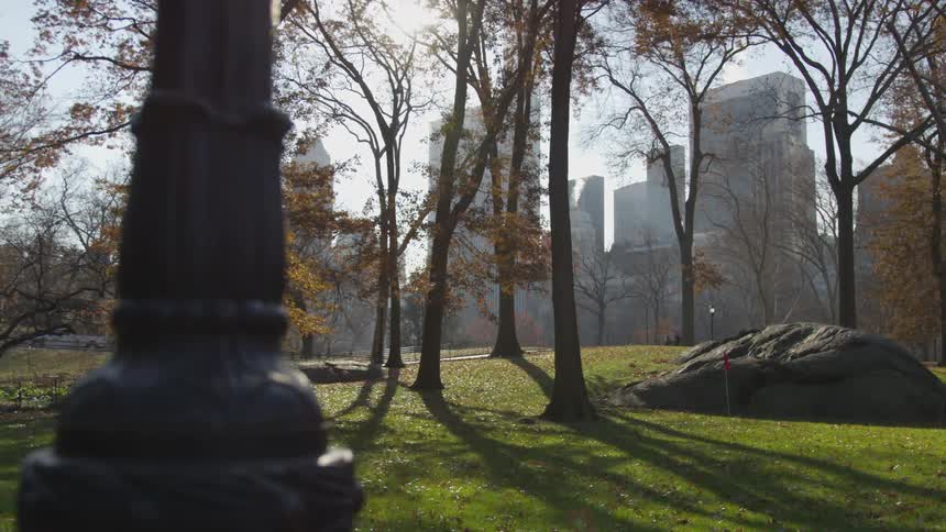 People walking in central park on a sunny fall day
