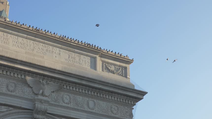 Pigeons fly off land and stand all along the roofline of an ornate city building