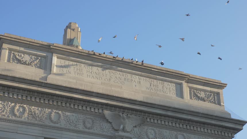 A flock of birds flying and landing on a government building