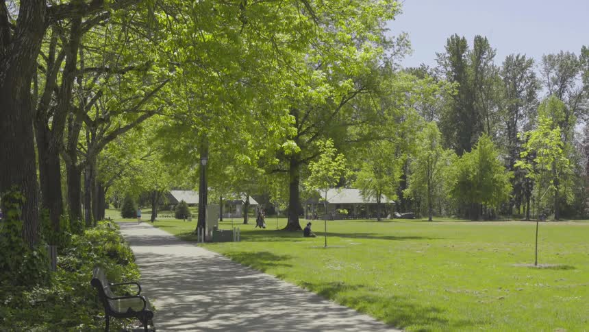 People relax at a grassy park on a summer day