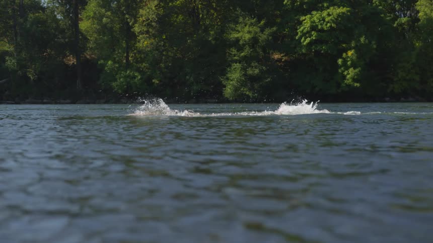 Man swims through lake water with trees in background