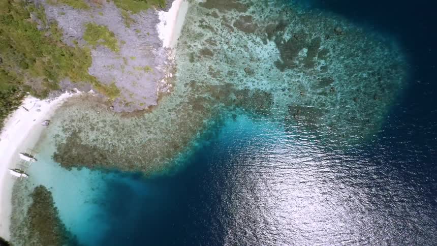 Aerial view of a beach