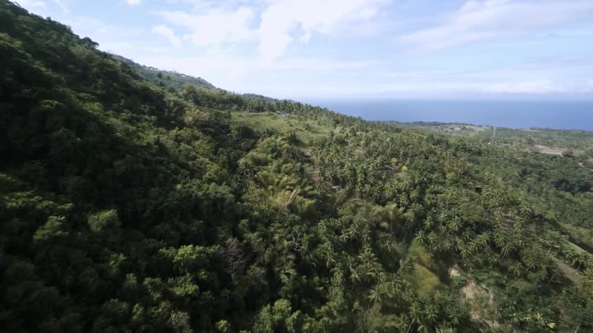 A large hillside covered in trees on a cloudy day