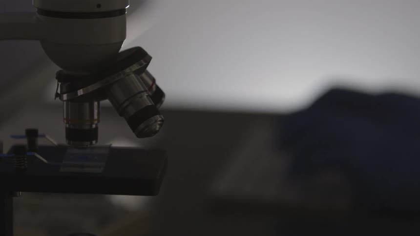 Microscope and blue gloves typing on a keyboard in the background