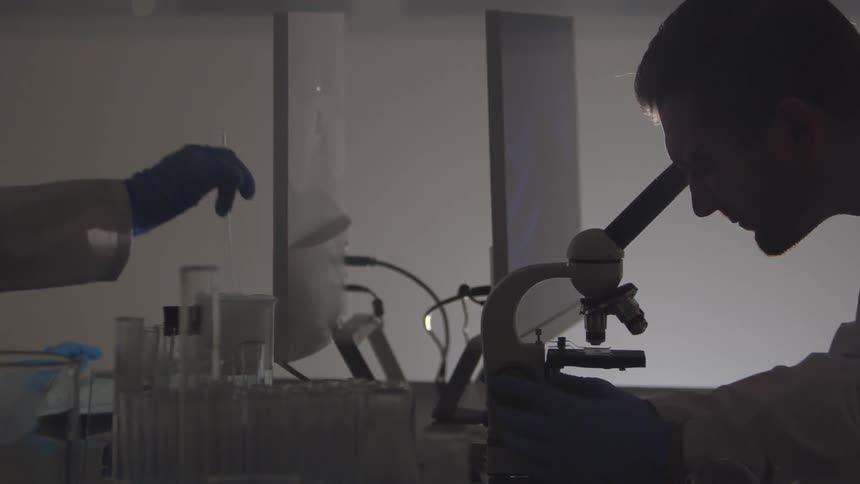 Scientist in white lab coat types and then looks in microscope