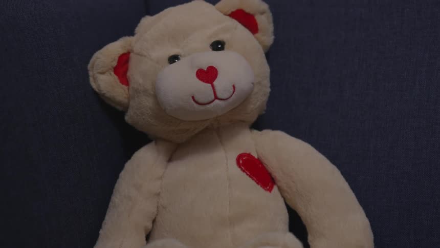 A white teddy bear on a sofa