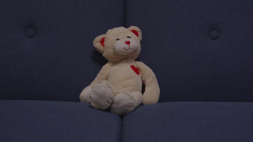 Teddy bear sitting on a couch